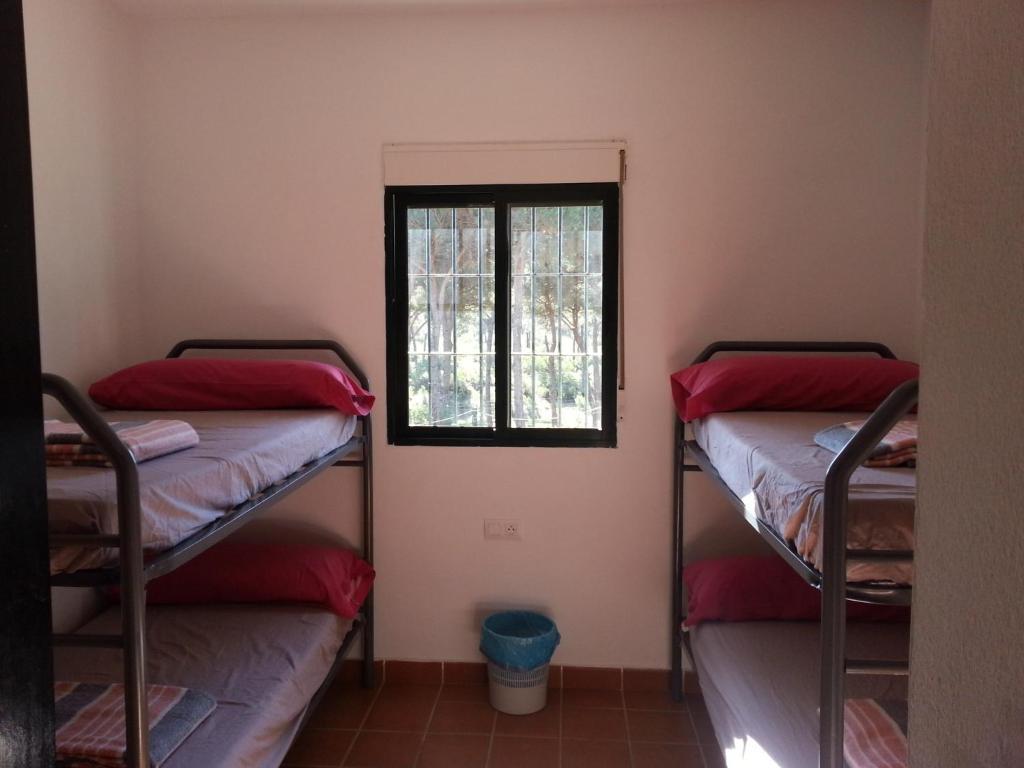 Albergue Rural Territorio Del Gato El Rompido Room photo